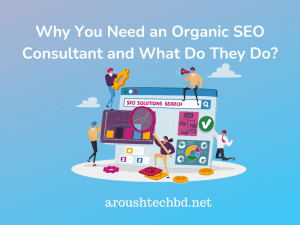 Organic SEO Consultant